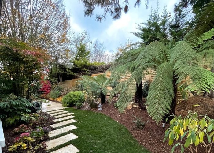 WhatsApp Image 2025-04-14 at 22.15.39