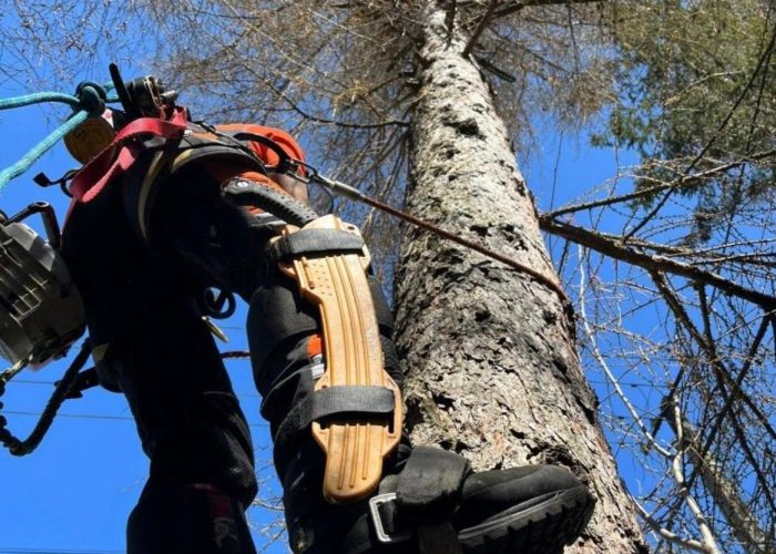 WhatsApp Image 2025-04-14 at 22.23.03